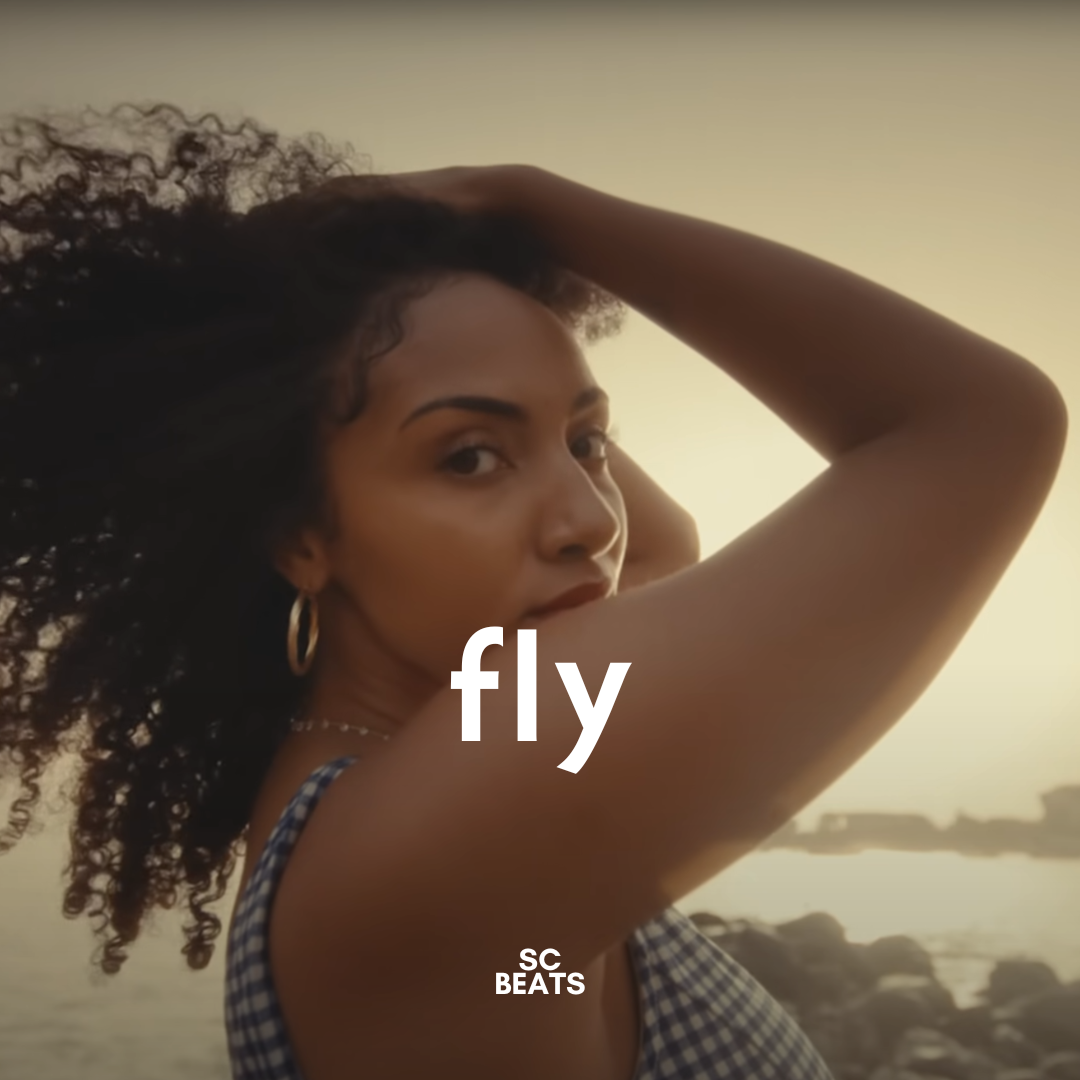 Fly