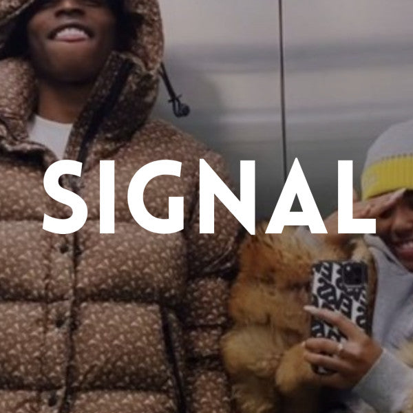 Signal