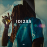 101233
