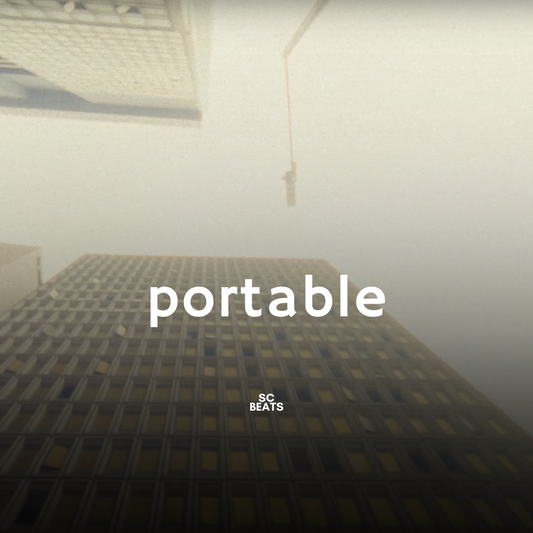 Portable