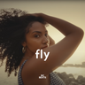 Fly