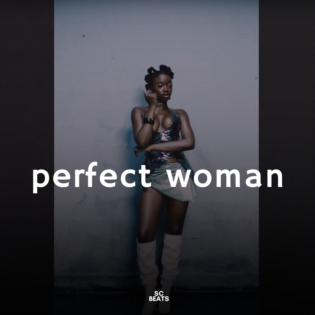 Perfect Woman